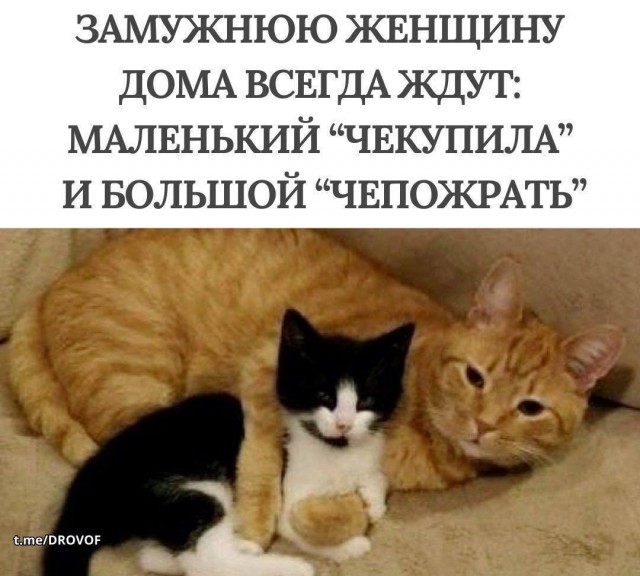 Картиночки, баянчики 01 августа