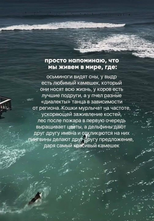 Так себе картинки 10.09.26