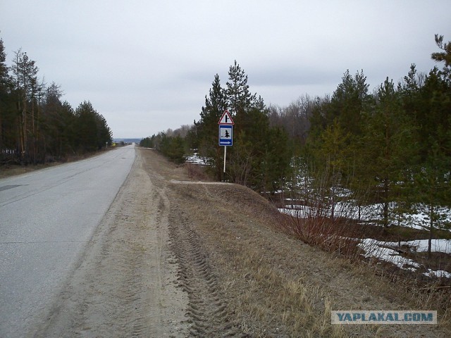 Деревенская Америка