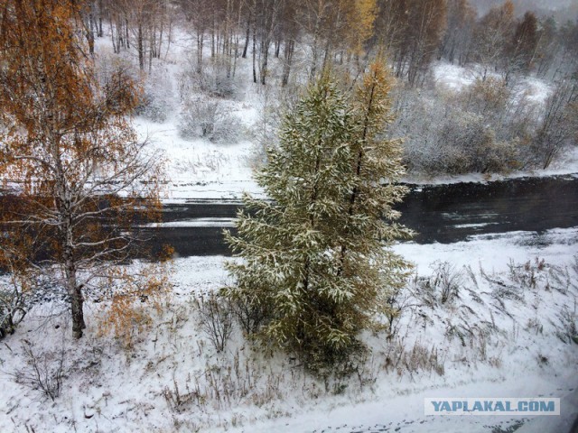 А что у Вас сейчас?