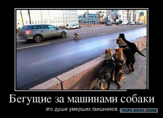 Смешные картинки