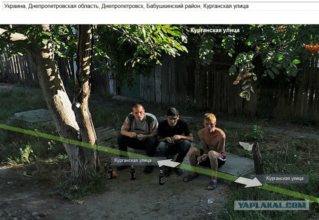 О'кей, Google покажи странное