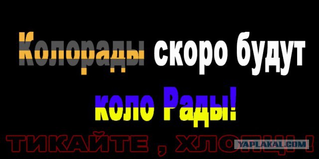 Яценюк официально объявил войну России