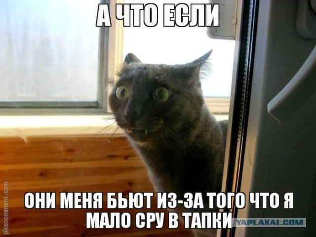 Подборка прикольных фото из сети