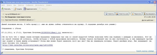 Митинги 04.02.2012
