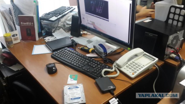 Приветы с рабочих мест ЯПовчан