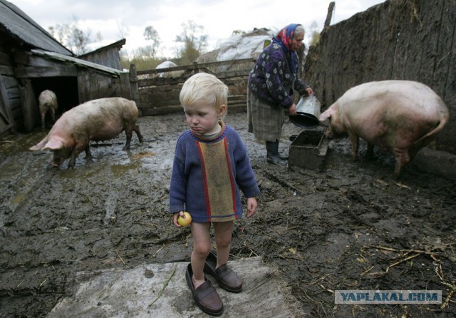 Иран просит у России кредит в $5 млрд