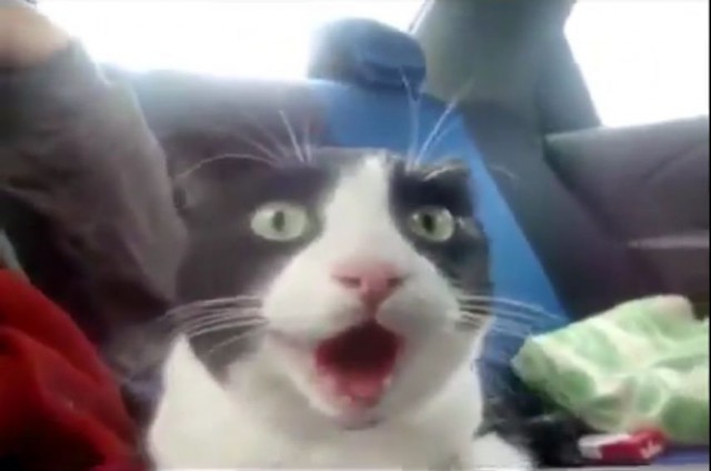 Лук со встроенной лазерной указкой