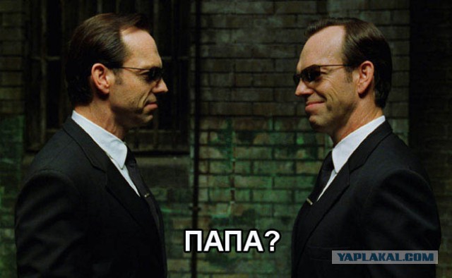 Пиросомы – самые редкие существа на Земле