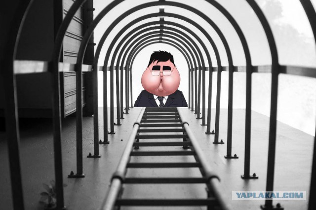 Nikon пришлось извиняться за награждение автора отфотошопленного снимка