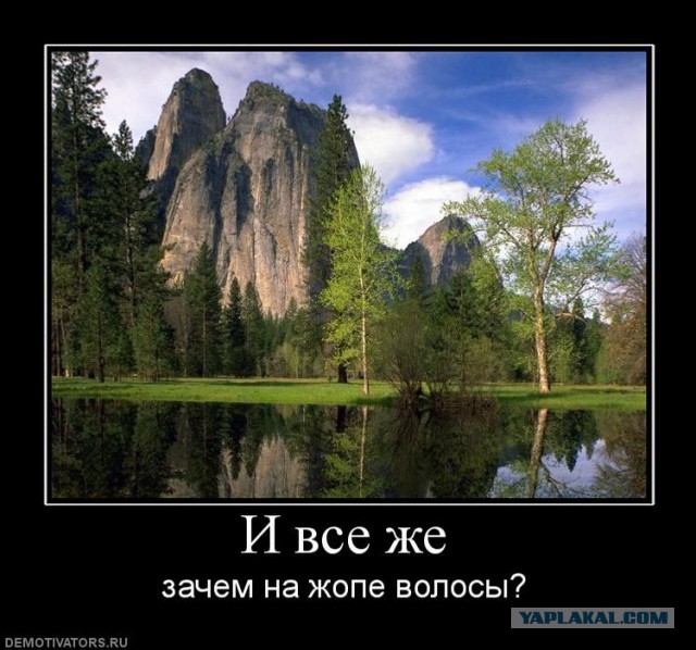 Абсурдный юмор ч.17