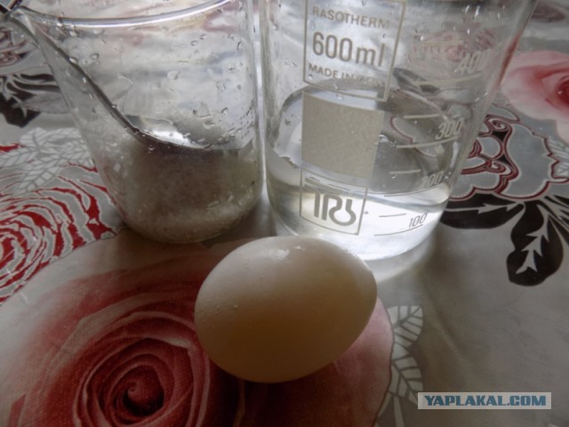 Скумбрия малосольная