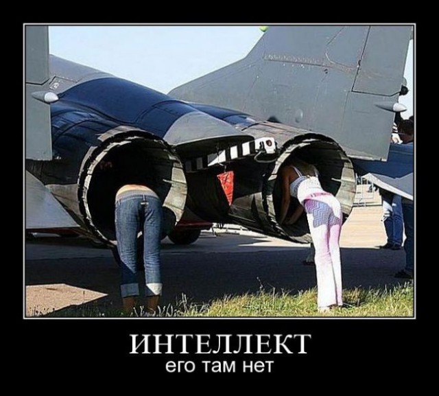 Демы без Темы