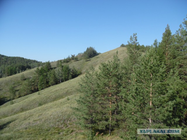 Зарница для старперов