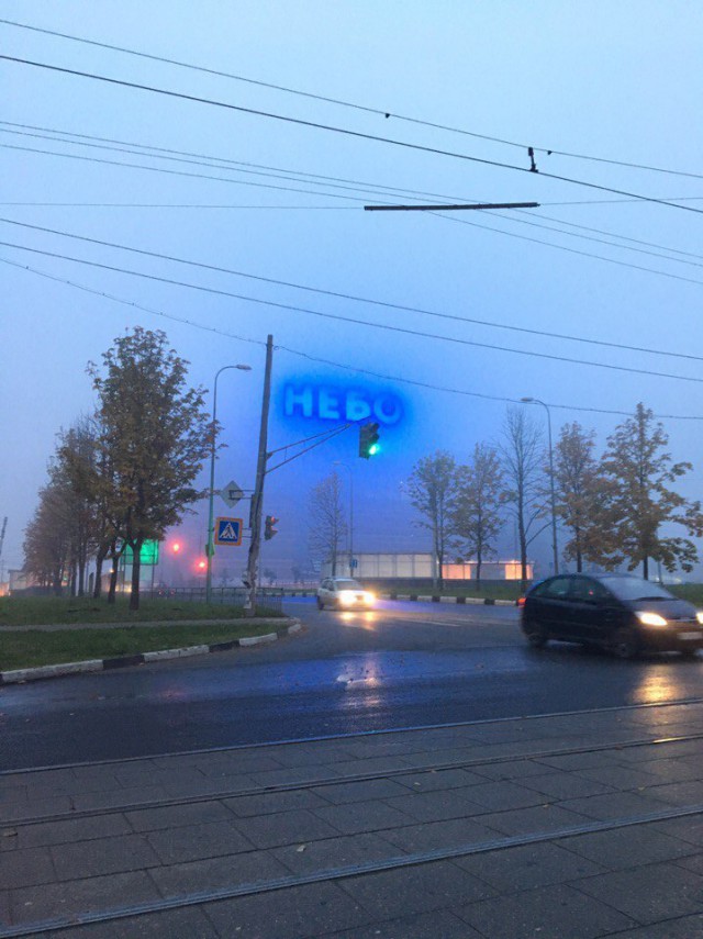 Порция картинок из сети