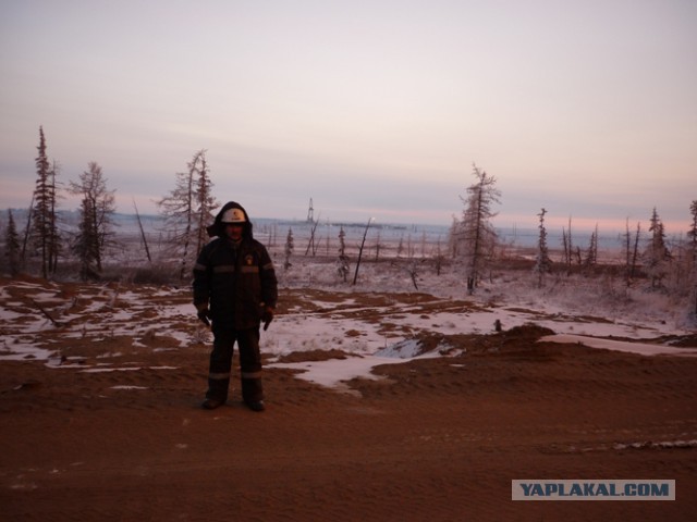 -28 в сибирских регионах.конец света?