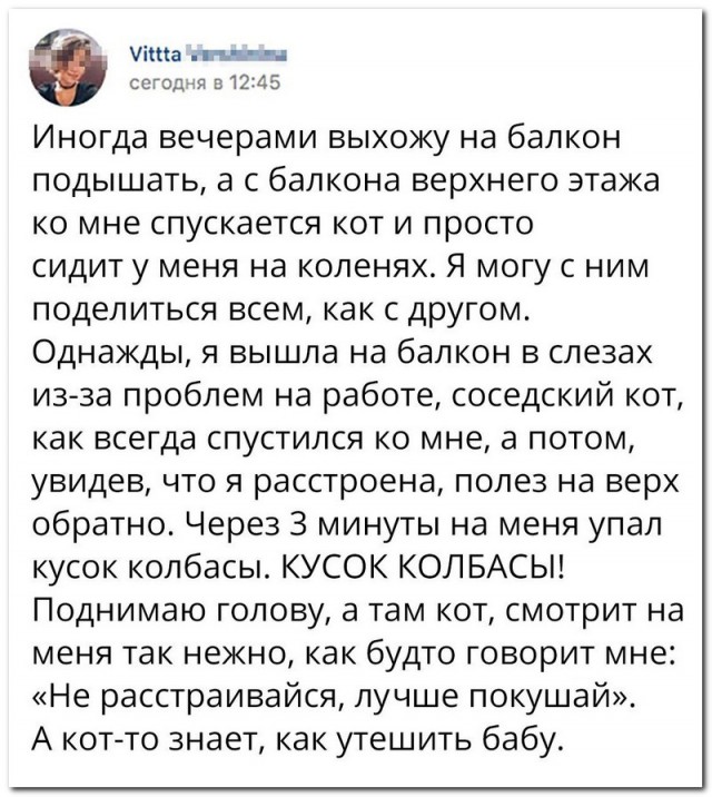 Подборка интересных и веселых картинок