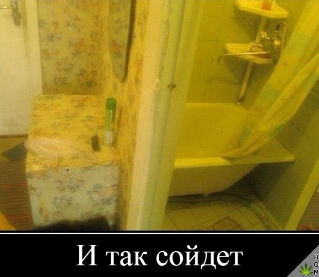 Подборка безудержного веселья