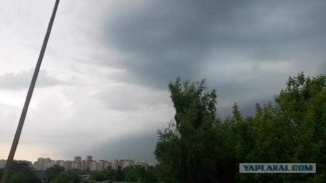 Готовьте ковчег: на Москву обрушится ливень как из Ветхого Завета