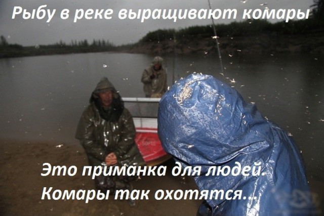 Подборка интересных и веселых картинок