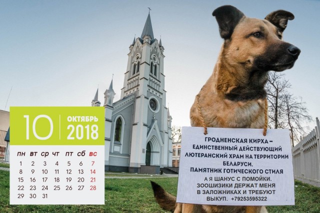 В Гродно сделали и отправили правительству антикалендарь