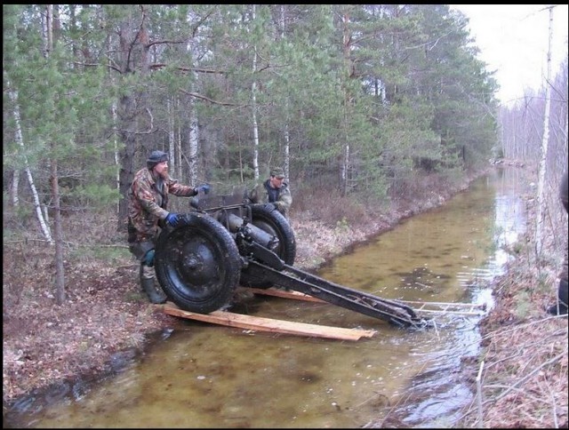 Пушка из болота