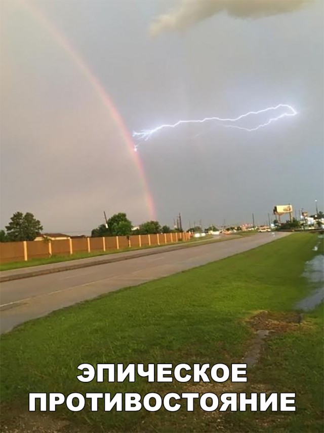 Прикольные картинки обо всем