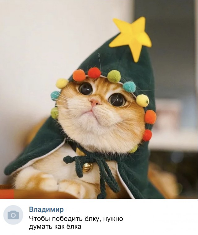 Нестандартный юмор