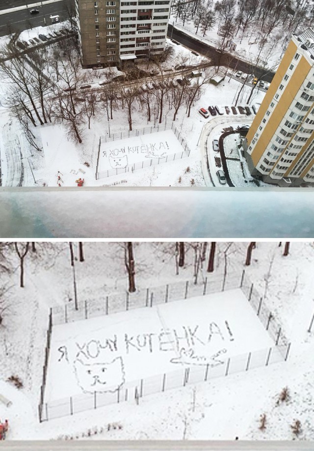 Фото, которые можно было сделать только зимой