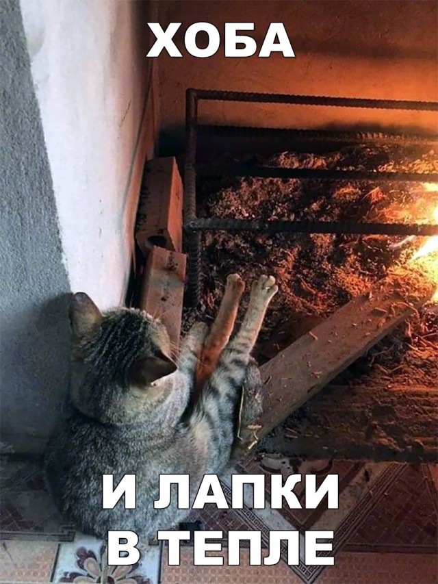 Немного милоты