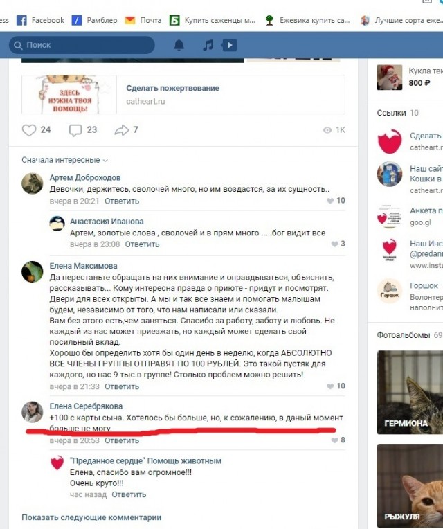 Помогите вернуть кота! Приют "Преданное сердце" украл кота и не отдает!-2