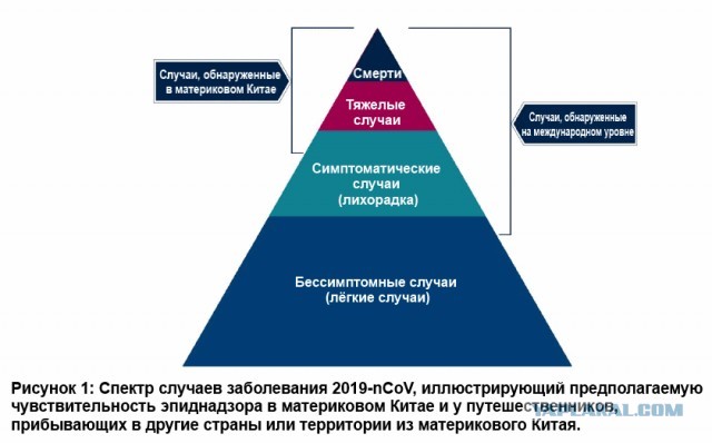 Мир и коронавирус, часть 5. COVID-19 и все все все