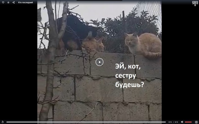 Кто последний?