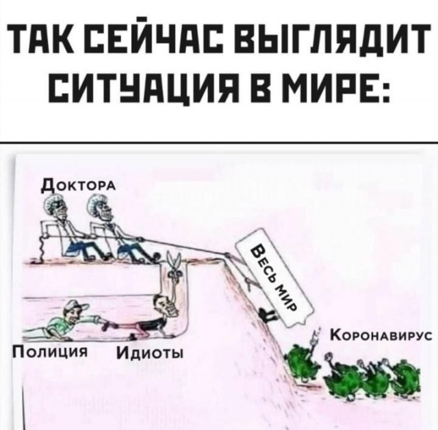 Просто картинки