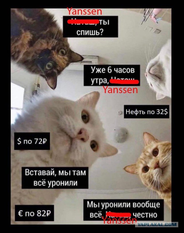 Когда стало пофиг
