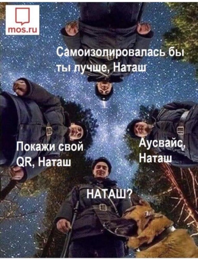 Стрим возвращения Навального из Берлина во Внуково
