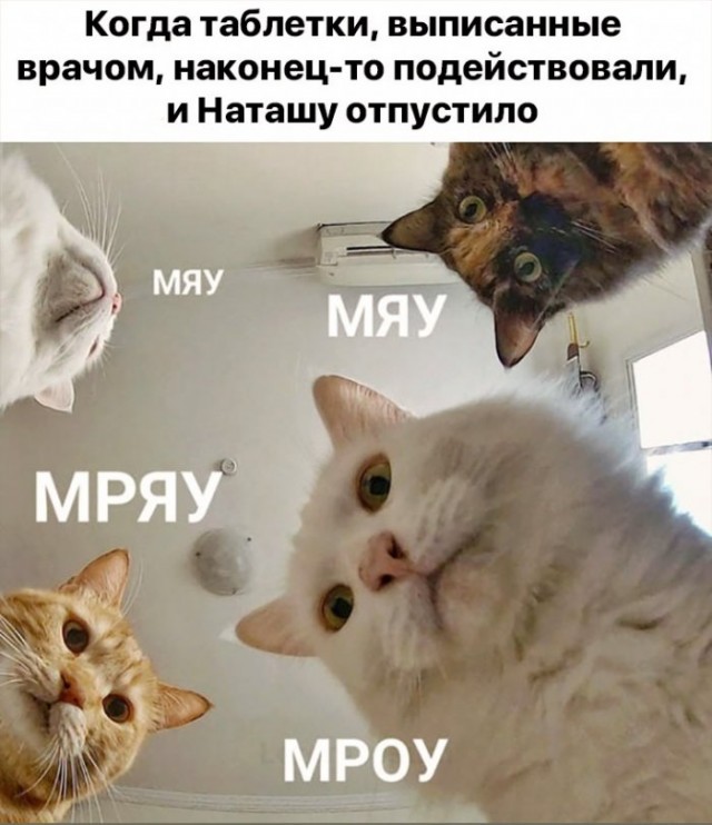Про Наташу