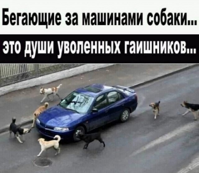Картинки с надписями и всякие жизненные фразы 31.05.21