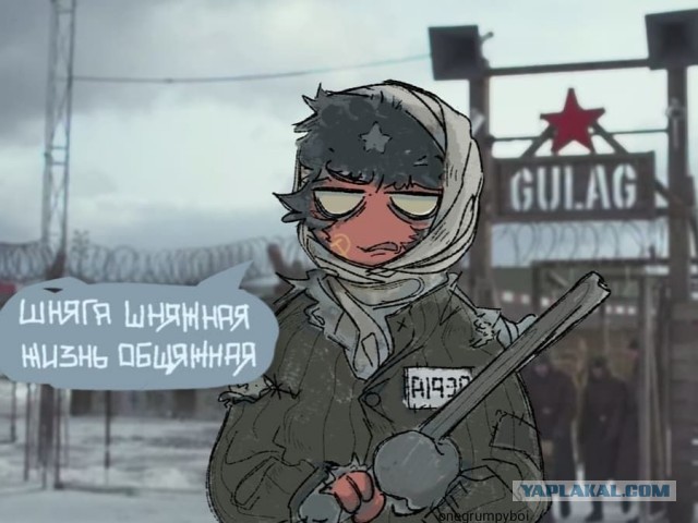 Россияне поддержали идею привлекать к работе заключенных вместо мигрантов