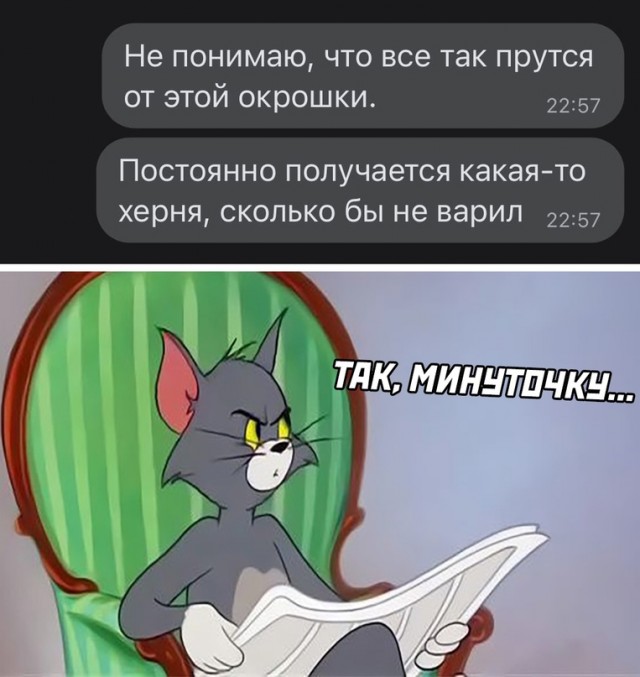 Весёлый полтишок 17.06.