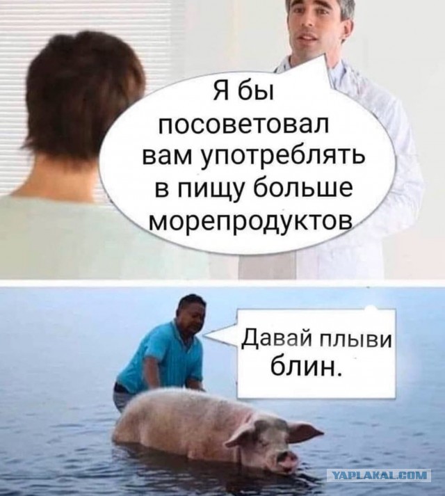 Сергей Шойгу раскритиковал Ростовскую область за отсутствие сала на столах военных