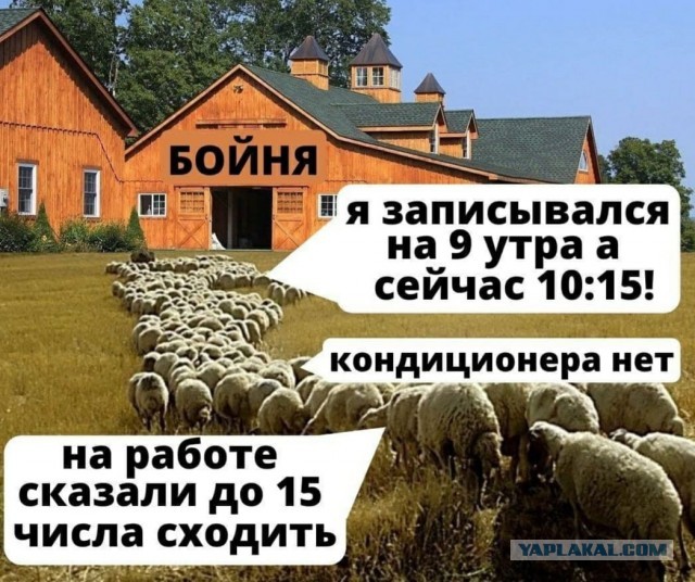 Раскрыта разница иммунитета к коронавирусу после болезни и прививки