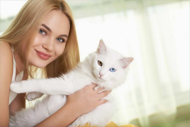 Девушки котовторника