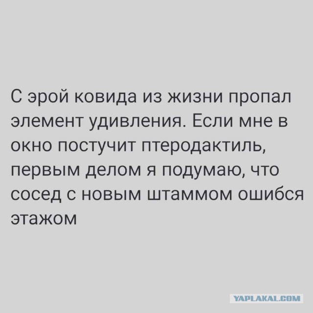 Картинки аморальные и всякие разные - 21