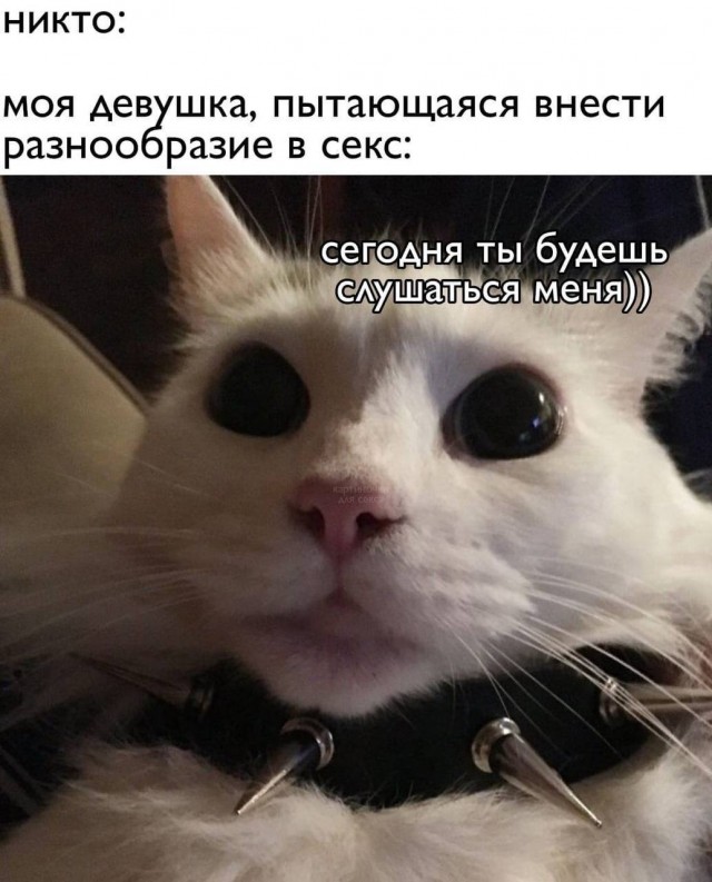 Пятница. И немного слегка пошлых картинок с надписями и без 16+ (08.04)
