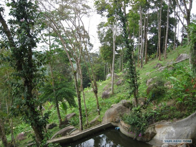 Такой разный остров Самуи