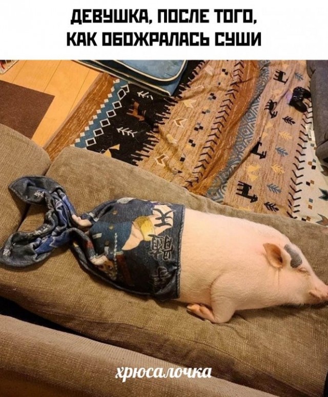 Картинки и мемы для настроения - 19