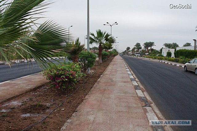 Синайские приключения. Шарм-эш-Шейх и окресности