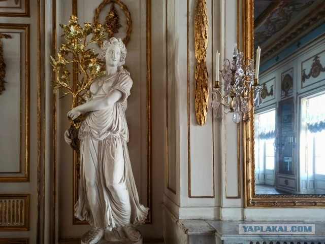 Преображение усадьбы Кусково