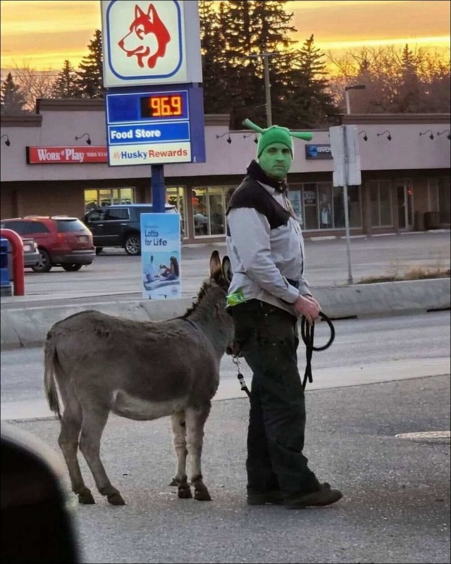 Прикольные и просто красивые картинки 06.12.2022